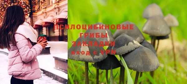 круглые Абаза